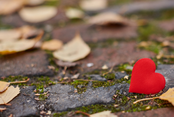 photograph of a cobble street with autumn leaves on the floor. There is a bright red heart placed on the ground.