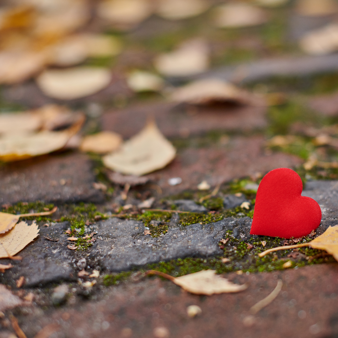 photograph of a cobble street with autumn leaves on the floor. There is a bright red heart placed on the ground.