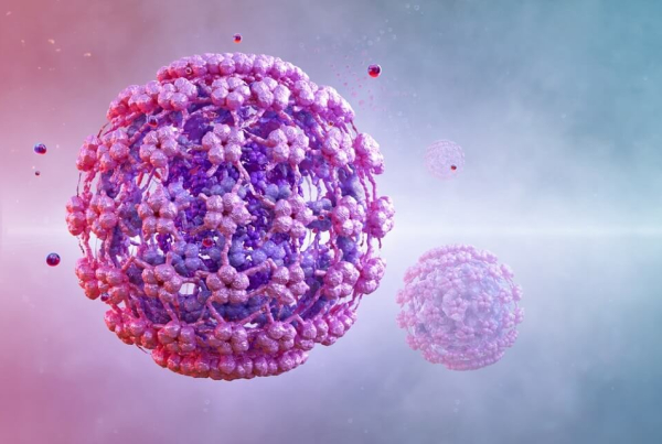 Cervical cancer testing: A ball of pink and purple cells