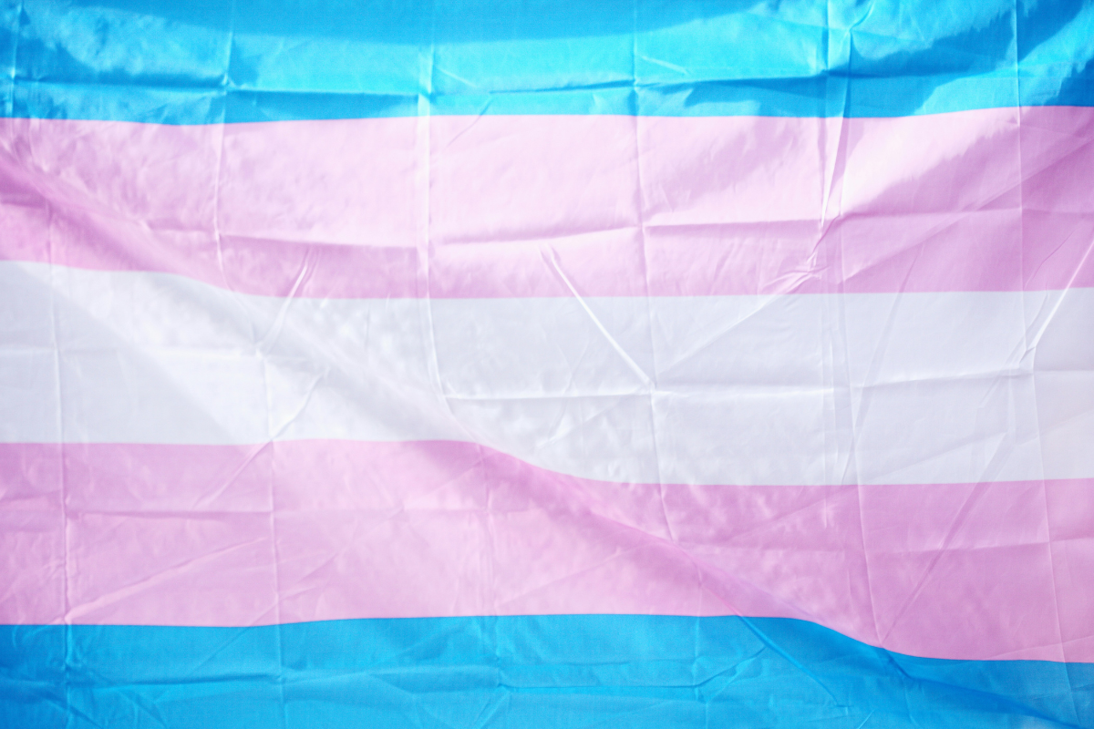 transgender flag in pink, blue and white